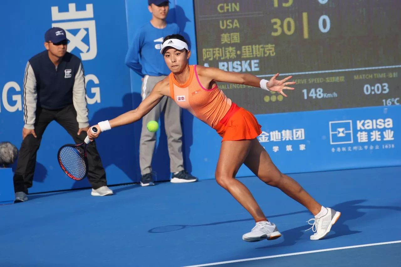 淋漓的观赏 淋漓的观赏